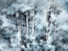 USA-Utah-Aspen Grove in infrared of the Logan Pass area Art Print